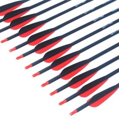 Carbon Arrow 28/30/31 Inches Length Spine 500 with Replaceable Arrowhead