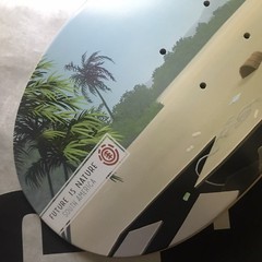 ELEMENT Skateboard Landscape South America Deck Future Is Nature Beach Litter