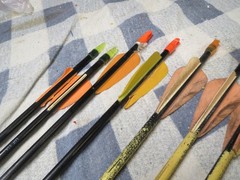 Mixed Lot of 12 Used Carbon Arrows 25.25 to 28.25 Inches Youth up to 40 lbs