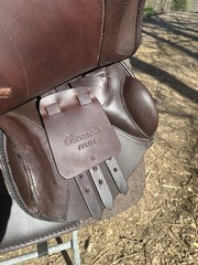 Thornhill Germania Spring Jump Eventing Saddle 19 in Brown