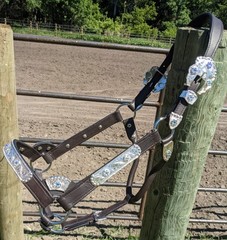 Silver Show Halter – Iridescent Stones – Dark Oil – Horse Size – Matching Lead