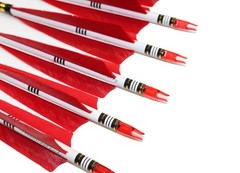 12PCS Red Turkey Feather 31 inches Carbon Arrows Tips Targeting Arrows Archer…