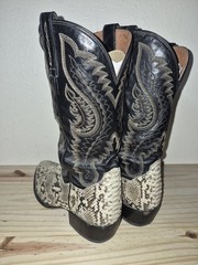 Dan Post python boot
