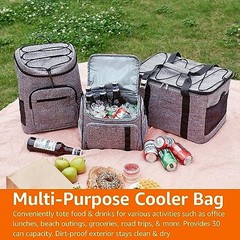 Amazon Basics Insulated Cooler Backpack, 30 Can, Leak-Proof, Gray