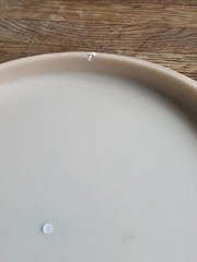 RARE Discraft Crazy Tuff Zone Challenger 2020 Ledgestone Edition 173g Beige
