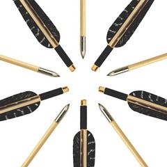 12 Pcs Archery Wooden Arrows with Feathers Handmade Targeting Arrows for Trad…