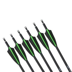 12Pcs 30 Inch Carbon Arrow Practice Hunting Arrow for Compound Bow Recurve Bow