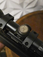 Gamo Swarm Whisper .22 Cal Pellet Break Barrel Rifle Air Gun