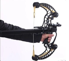 High Precision Adult Outdoor Hunting Slingshot Bow Compound Laser sight included