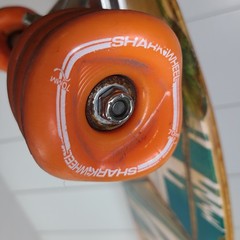 Sector 9 Swamis Bamboo complete longboard with shark wheels 34′ long