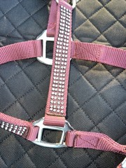 2-Ply Nylon Horse Halter w/ Crystal Rhinestones. Heavy Metal Buckles & Snap- New