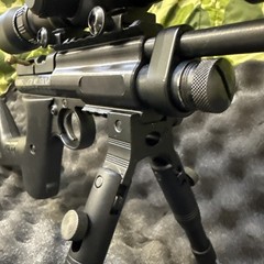Custom Configuration, Crosman 2240, C02 Bolt Action .22. Many New Extras