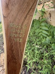 2026 Left Hand Bear Archery G62 Recurve Bow 62in 45lb @ 28in