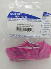 100pk Gateway Feathers 2″ Right Wing: Rayzr Faux Barred Pink 200RRBFP-100