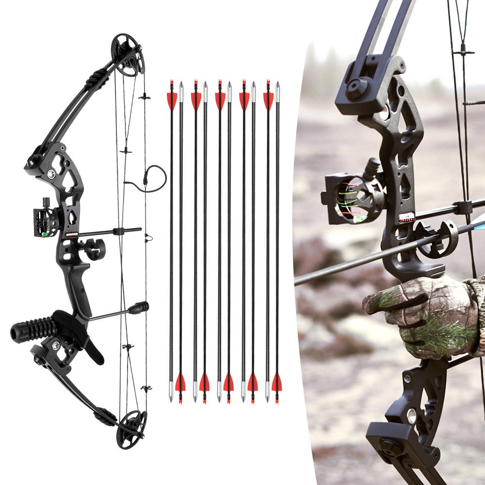 Compound Bow Kit with 12 Arrows Right Hand Archery Hunting Set Black 30-55lbs