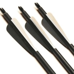 12pcs 30» Archery Carbon Arrows Hunting Broadheads 100 grain Quiver Bow Target