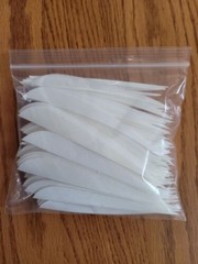 5 inch Feathers Right Wing Parabolic Cut 100 pack White