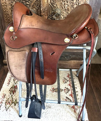 Parelli Hybrid Cruiser Horse Saddle, SUPER WIDE ENDURANCE, TRAIL, COMFORT 16.5