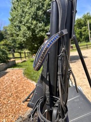 Halter Ego Black Dressage Gray Croc nose band with blue piping and crystal brow