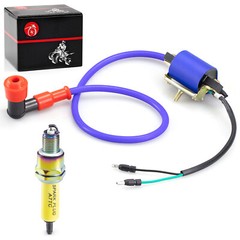 Ignition Coil and 10mm Spark Plug Compatible with 70cc 90cc 110cc ATV dirt bike