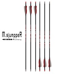 Carbon Arrows 400 Spine Shaft with Helical Real Feathers and Removable Tips f…