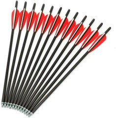12pcs 20» Carbon Crossbow Bolts Hunting Arrows OD8.8mm 100Gr Arrowheads /Quiver