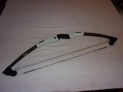 Bear Mini Magnum Compound Bow