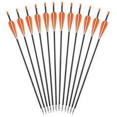12Pcs Archery 31″ Fiberglass Arrows +/or Quiver for Compound Recurve Bow Hunting