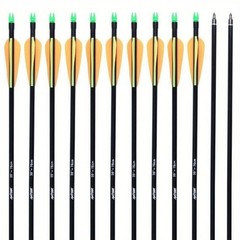 12Pcs 30“ Fiberglass Arrows Spine 500 OD 8mm Archery Plastic Feather F Shooting