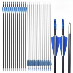Outdoor 31″ Fiberglass Arrows 24PCS Archery Target Arrows Practice Shooting
