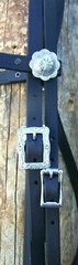 Bridle Headstall Western Beta Bio-thane Bling BLUE Rhinestones Barrel Race