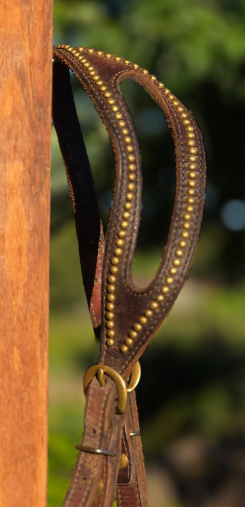One Ear Slot Headstall Dark Oil with Brass Dots, Buckles and Conchos