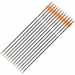 12Pcs Archery 31″ Fiberglass Arrows +/or Quiver for Compound Recurve Bow Hunting