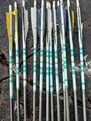 Easton Aluminum arrows 2117 29″ (12) Zwickey