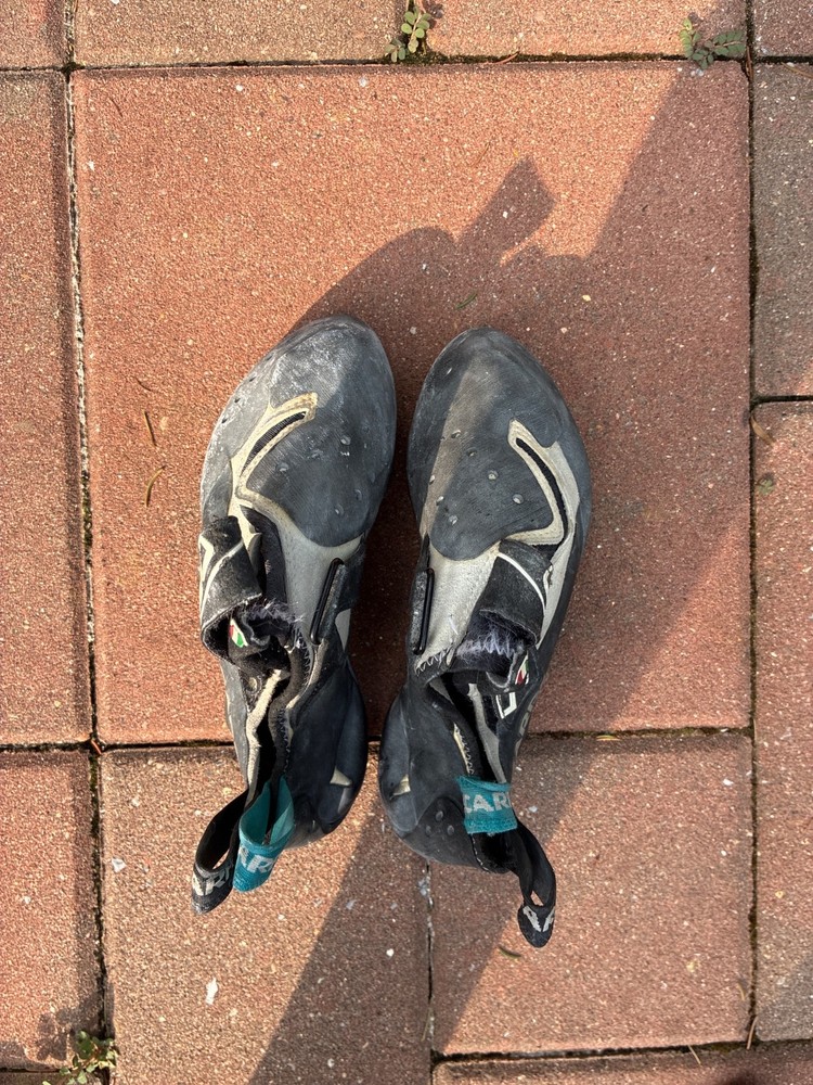 scarpa drago lv 37.5, black and white, moderately worn, very aggresive
