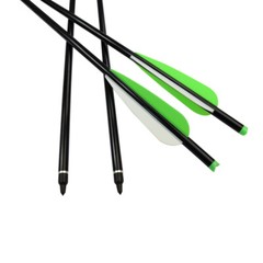 12Pcs Aluminum Crossbow Bolts 22» Target Hunting Practice Arrows for Outdoor