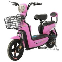 500 Watt Electric Scooter / Bike 48 Volt Battery 2Seats Remote Start and More.