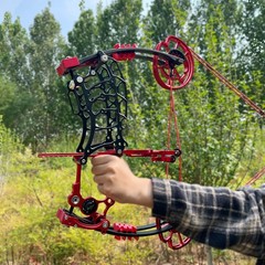 Dual-use Compound Bow Kit 30-70lbs Steel Ball Arrows Archery Outdoor Shoot RH LH