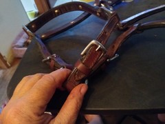 used horse show halter silver