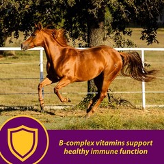 Horse Health Red Cell, Suplemento Liquido De Vitaminas, Hierro Y Minerales Para