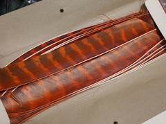 vtg BEAR Archery M 400 Full Length TURKEY Pointers LW natural barred FEATHERS