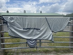 75” Bucas Buzz Off Full Neck Horse Fly Sheet w/Belly Protection – Used