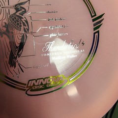 Rare 2019 Madison Walker Color glow Champ Thunderbird Disc Golf Frisbee Innova