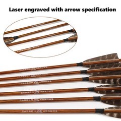 Hunting Carbon Arrows 400 Spine with Feathers Fletching and Target Tips for C…