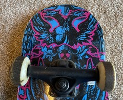 Avigo Vintage Skateboard 50mm Wheels Grip Blue Pink Black Design 31in X 7.5in
