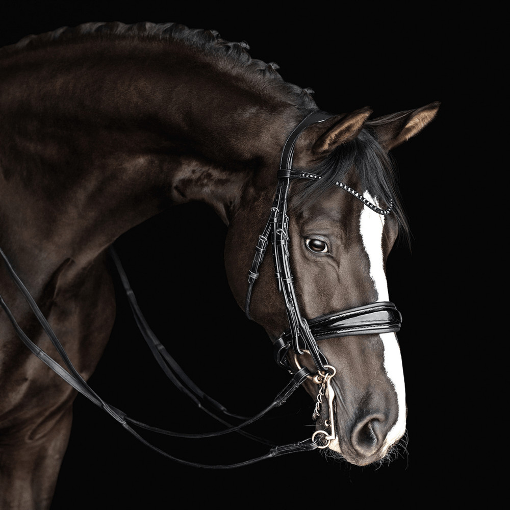 Dressage bridle