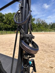 Halter Ego Black Dressage Gray Croc nose band with blue piping and crystal brow