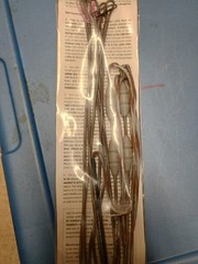 GAS String Set For Elite Impulse 31
