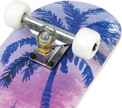 Wilver Complete Skateboards for Beginners to Pro 31 inches – Color B Aloha