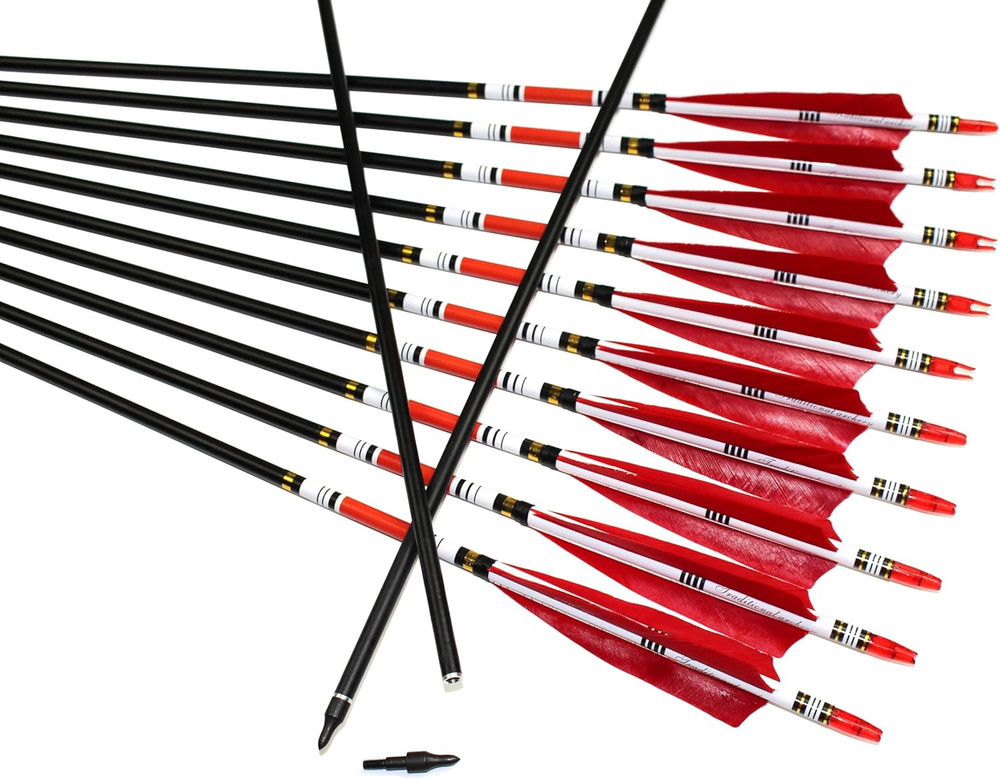 TTFLY FLETCHING 12PCS Red Turkey Feather 31 Inches Carbon Arrows Tips Targeting